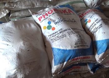 Daftar Harga Pupuk Subsidi Pasca Turun 20%, Pemkab Bengkulu Utara Perketat Pengawasan