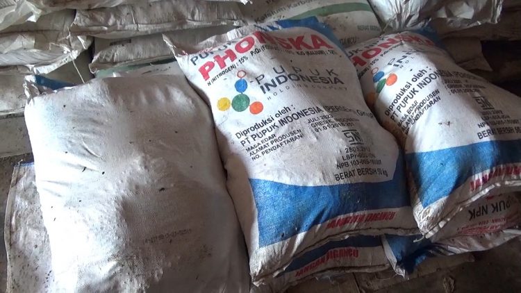 Daftar Harga Pupuk Subsidi Pasca Turun 20%, Pemkab Bengkulu Utara Perketat Pengawasan