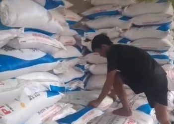 Pasca Harga Pupuk Turun, Kuota Pupuk Subsidi di Seluma Bertambah 200 Ton