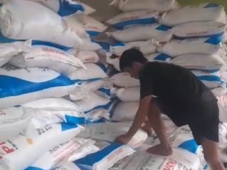 Pasca Harga Pupuk Turun, Kuota Pupuk Subsidi di Seluma Bertambah 200 Ton