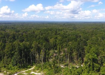 Ini Lokasi Harta Karun Senilai Rp 30 Ribu Triliun yang Belum Digarap