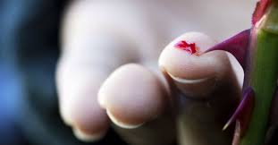 Luka Tertusuk Duri Sawit Rawan Infeksi, Begini Cara Penanganan Pertamanya