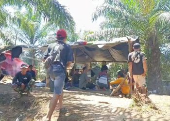 Warga Lawan Perusahaan Sawit, Pemkab BU Dorong Penyelesaian Lewat Reforma Agraria