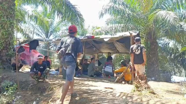 Warga Lawan Perusahaan Sawit, Pemkab BU Dorong Penyelesaian Lewat Reforma Agraria