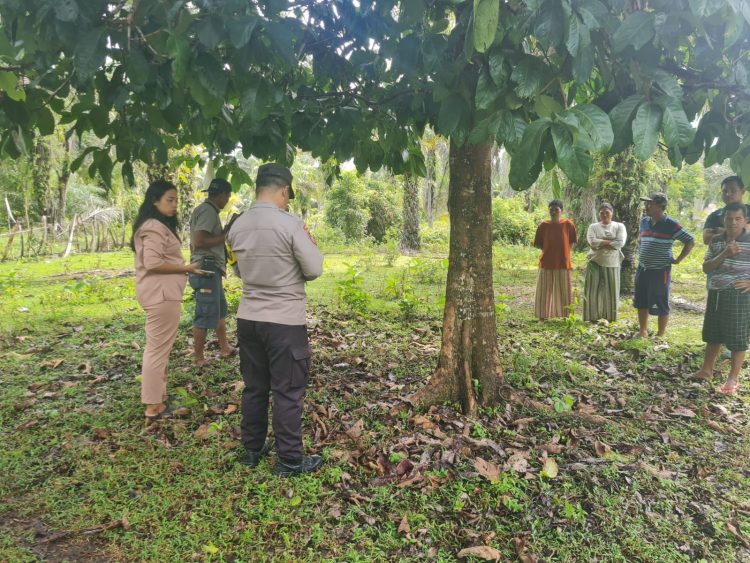 Waspada Spesialis Curnak Sapi Gentayangan di Seluma, Warga Penago Baru Jadi Korban