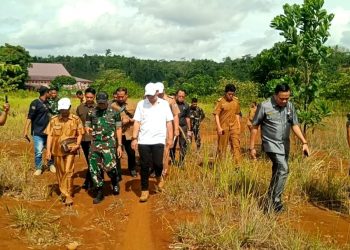 Puluhan Hektar Lahan Tidur di Kabupaten Seluma Bakal Digarap Prajurit TNI Jadi Ladang Jagung