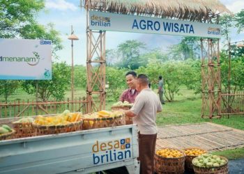 Pengakuan Global untuk BRI Berkat Program Sosial, Lingkungan dan Pemberdayaan Masyarakat