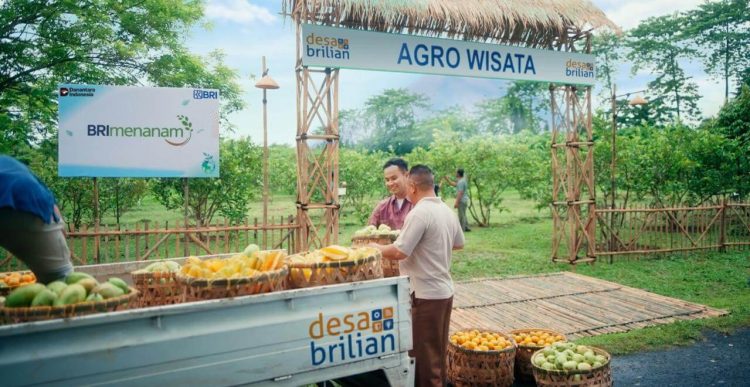 Pengakuan Global untuk BRI Berkat Program Sosial, Lingkungan dan Pemberdayaan Masyarakat
