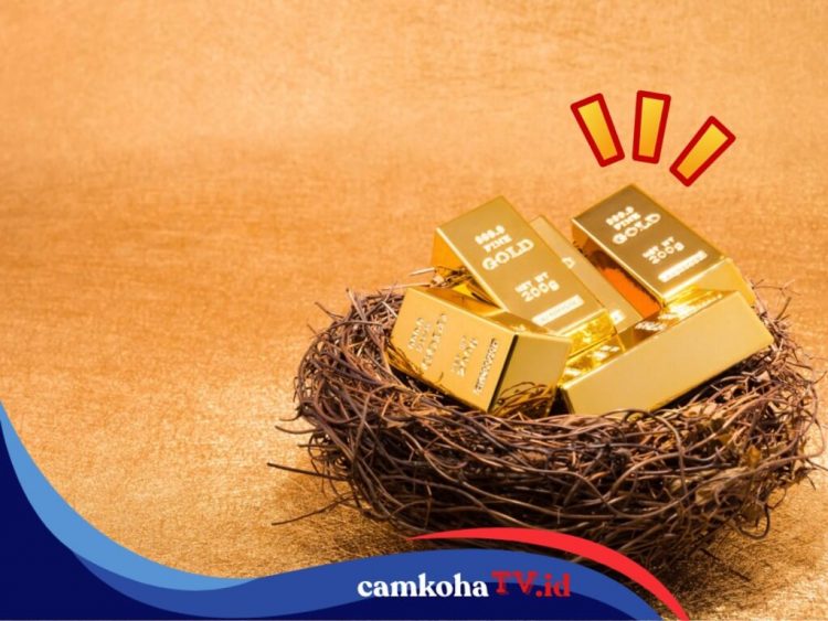Jenis-jenis Emas dan Alasan Jadi Investasi Jangka Panjang