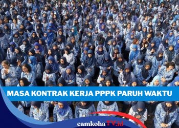 12 Penyebab Utama Kontrak PPPK Paruh Waktu Diputus