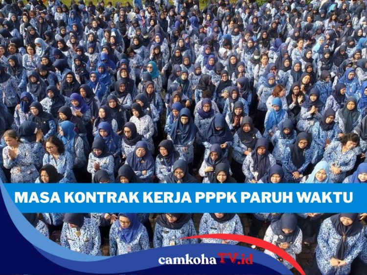 12 Penyebab Utama Kontrak PPPK Paruh Waktu Diputus