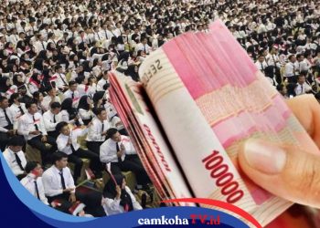 Skema Pembayaran dan Besaran Gaji PPPK Paruh Waktu 