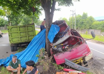 Truk Muatan Batubara Ringsek Berat Akibat Menghantam Pohon