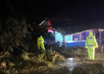 Waspada Cuaca Ekstrem Jelang Malam Tahun Baru 2026,  Pohon Cemara Roboh Timpa Warga Kota Bengkulu