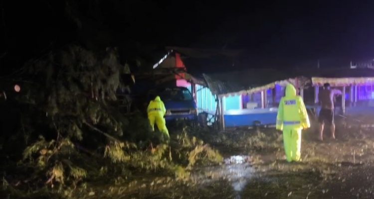 Waspada Cuaca Ekstrem Jelang Malam Tahun Baru 2026, Pohon Cemara Roboh Timpa Warga Kota Bengkulu