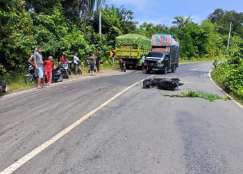 Laka Maut di Jalinbar Bengkulu Utara, Motor vs Truk Batu Bara