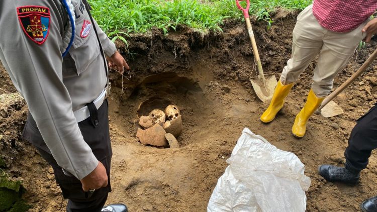 Penemuan 3 Tengkorak Diduga Manusia Hebohkan Warga Kepahiang Bengkulu