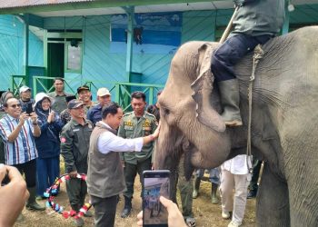 Menhut Raja Juli Antoni Lihat Gajah di Konservasi Sebelat Bengkulu Utara “Misi Penyelamatan”