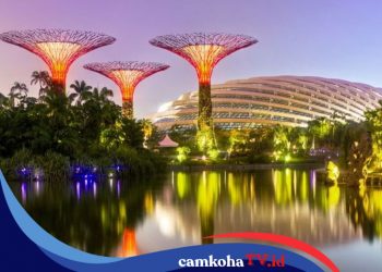 Rekomendasi Tempat Liburan Akhir Tahun Gratis di Singapura, Siapkan saja Budget Segini