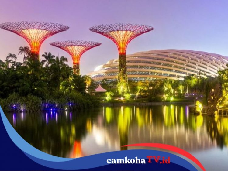 Rekomendasi Tempat Liburan Akhir Tahun Gratis di Singapura, Siapkan saja Budget Segini