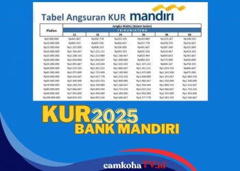 Tabel Angsuran Pinjaman Rp 15 Juta KUR Mandiri 2025