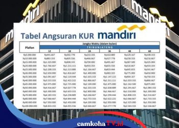Tabel Angsuran Pinjaman Rp 25 Juta KUR Mandiri 2025