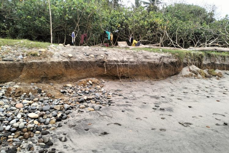 Diduga Penambangan Emas Ilegal di Pantai Retak Ilir Mukomuko Terus Berlangsung, Abrasi Semakin Menjadi