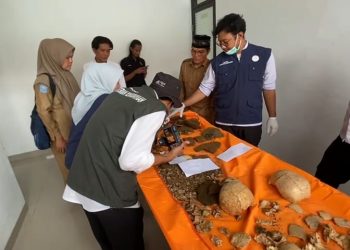 Misteri 3 Tengkorak yang Ditemukan di Kepahiang Bengkulu Terkuak, Ini Kata Peneliti