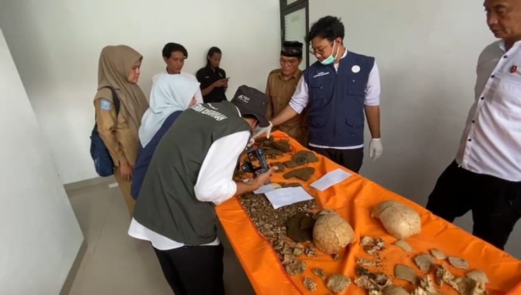 Misteri 3 Tengkorak yang Ditemukan di Kepahiang Bengkulu Terkuak, Ini Kata Peneliti