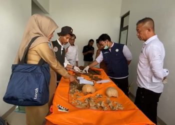 Penemuan Tengkorak Zaman Megalitikum di Kepahiang Bengkulu, Rupanya Begini Sejarahnya