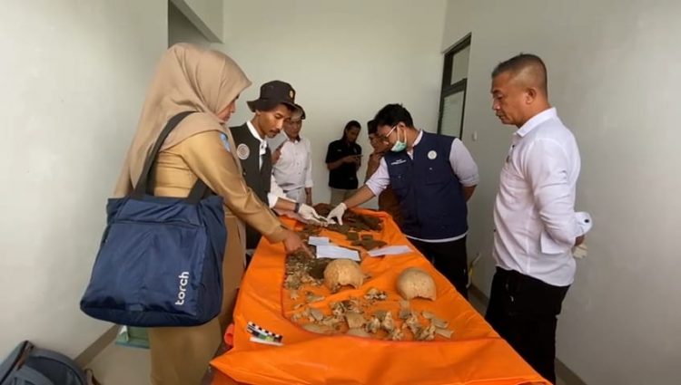 Penemuan Tengkorak Zaman Megalitikum di Kepahiang Bengkulu, Rupanya Begini Sejarahnya