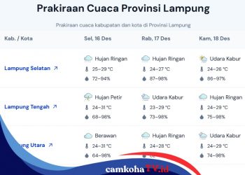 Pantauan Cuaca BMKG untuk Lampung 3 Hari ke Depan, Waspada! Beberapa Wilayah Berpotensi Hujan Petir!