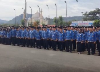 Bagaimana Nasib 600 Honorer di Kepahiang, Begini Kata Bupati Zurdi Nata