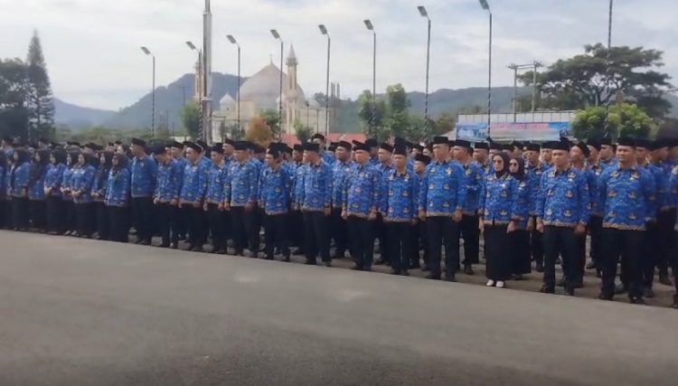 Bagaimana Nasib 600 Honorer di Kepahiang, Begini Kata Bupati Zurdi Nata