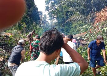 Jalan Desa Tuguk-Desa Benua Kaur Sudah Bisa Dilintasi, Material Longsor dan Pohon Tumbang Sudah Dibersihkan