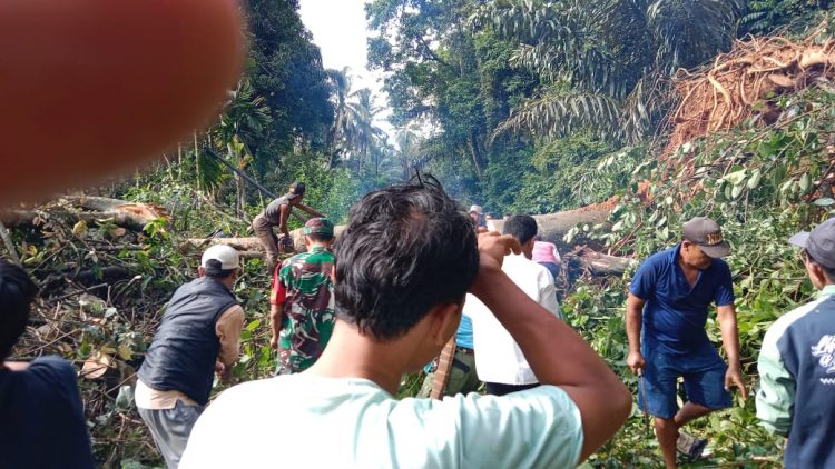 Jalan Desa Tuguk-Desa Benua Kaur Sudah Bisa Dilintasi, Material Longsor dan Pohon Tumbang Sudah Dibersihkan