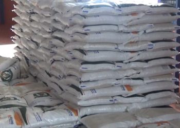 Hibah Lahan Gudang Bulog di Mukomuko Diproses, Dibangun Tahun 2026