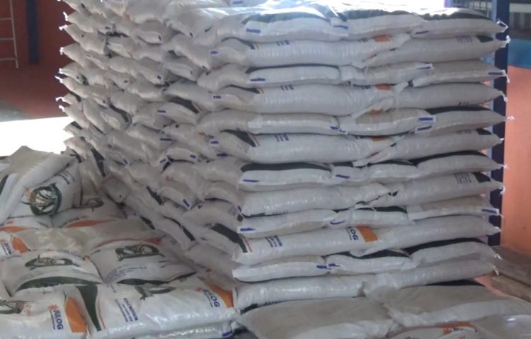 Hibah Lahan Gudang Bulog di Mukomuko Diproses, Dibangun Tahun 2026