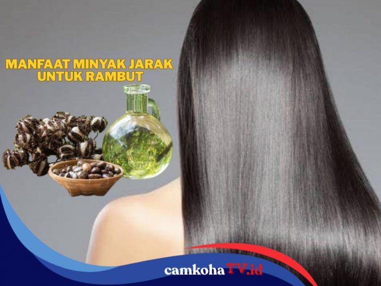 Cara Menggunakan Minyak Jarak Supaya Rambut Lebat dan Berkilau