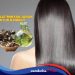 Cara Menggunakan Minyak Jarak Supaya Rambut Lebat dan Berkilau