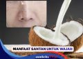 Cara Hilangkan Flek Hitam di Wajah dengan Santan Kelapa