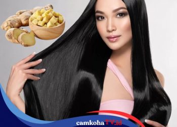 Cara Mengolah Jahe untuk Obat Alami Rambut Rontok