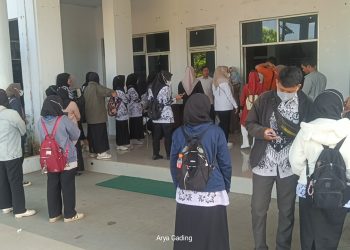 Akhir Desember 2025 Ribuan Calon PPPK Tahap II Kabupaten Seluma Jadi Pengangguran
