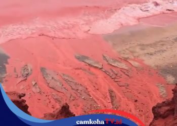 Penyebab Pantai di Iran Mendadak Berubah Merah Darah Setelah Hujan Turun