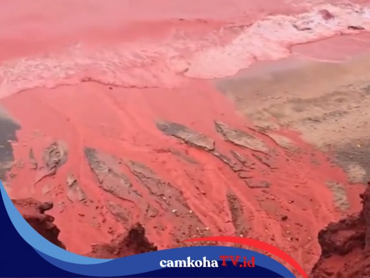 Penyebab Pantai di Iran Mendadak Berubah Merah Darah Setelah Hujan Turun