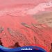 Penyebab Pantai di Iran Mendadak Berubah Merah Darah Setelah Hujan Turun