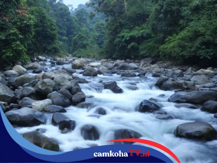 Penjelasan Ahli Geologi Mengenai Fenomena Sungai Mengering di Sumbar