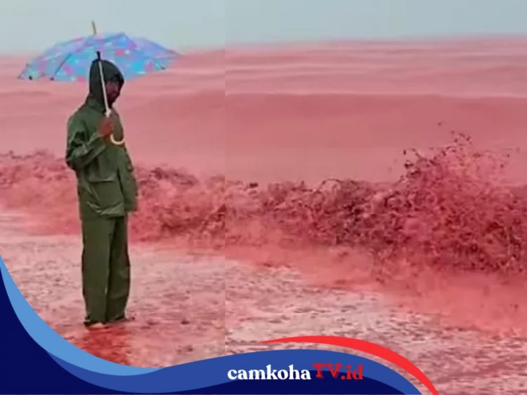 Fenomena Aneh Tapi Nyata, Pantai di Iran Berubah jadi Darah! Ini Penyebabnya