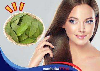 6 Manfaat Rebusan Daun Jambu Biji untuk Rambut
