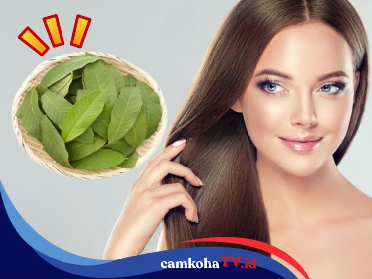 6 Manfaat Rebusan Daun Jambu Biji untuk Rambut